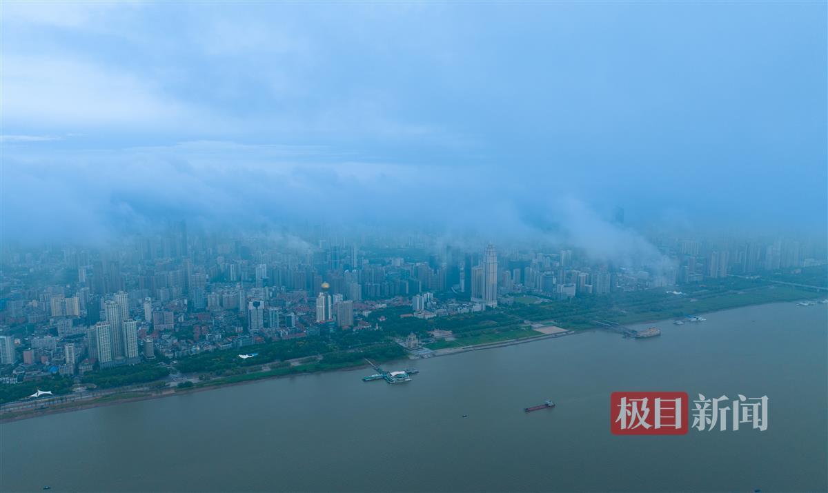 九五至尊V1的网址